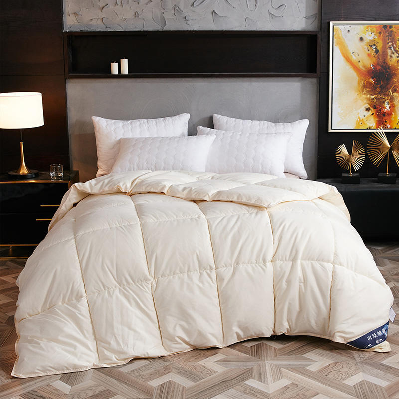 Down Duvet, Winter Duvet, Goose Down Duvet Core, Air Conditioner - MAXXLIFE ONLINE STORE