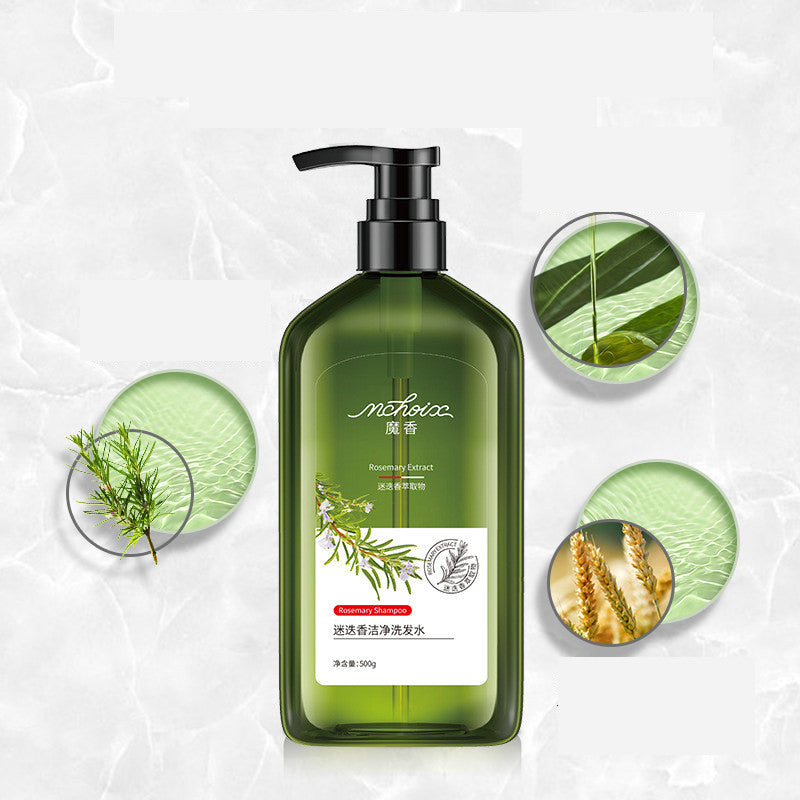 Rosemary Shampoo Body Wash For Hair Care, Refreshing And Oil Control - MAXXLIFE ONLINE STORE