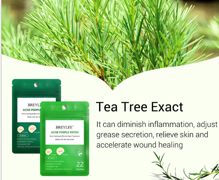 Tea Tree Acne Patch Fades Acne Marks and Ultra-thin - MAXXLIFE ONLINE STORE