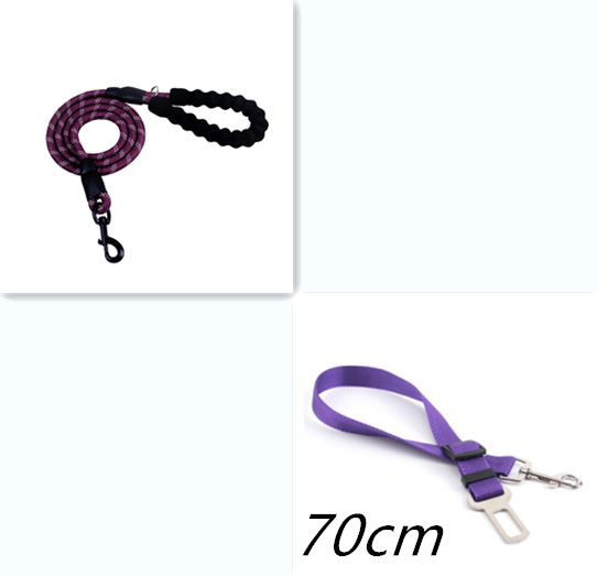 Reflective Dog Leash Nylon Pet Dog Leash Rope For Small Medium Large Dogs Walking Training Pet Suppiles - MAXXLIFE ONLINE STORE