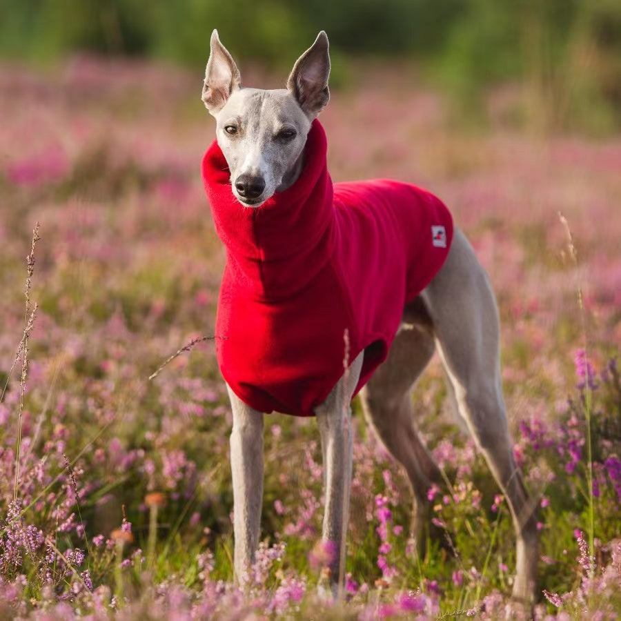 Winter Polar Fleece High Collar Soft Italian Greyhound Whippet Dog Clothing - MAXXLIFE ONLINE STORE