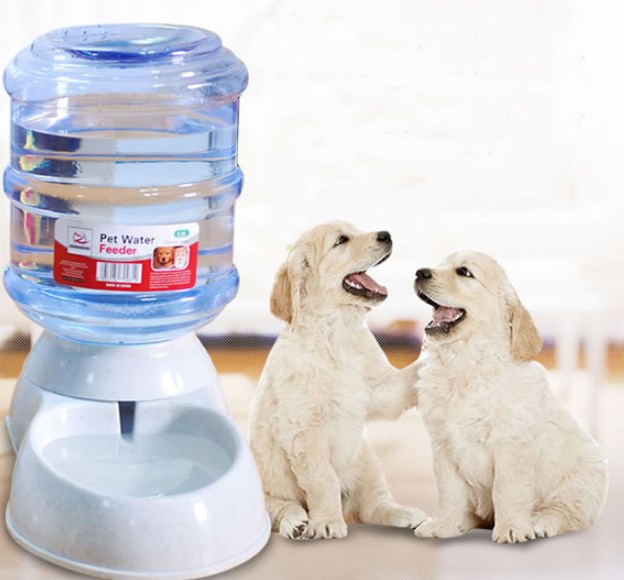 Cats Dogs Automatic Pet Feeder Drinking Water Fountains Large Capacity Plastic Pets Dog Food Bowl Water Dispenser - MAXXLIFE ONLINE STORE