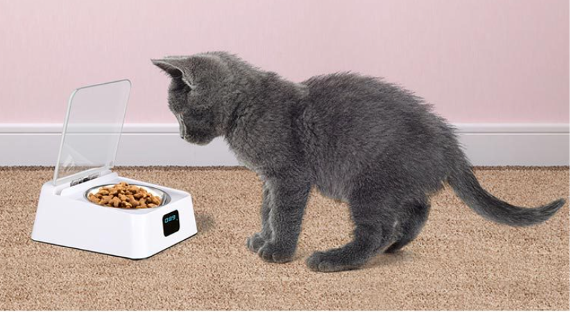 Pet 5G Bowl Automatic Pet Feeder - MAXXLIFE ONLINE STORE