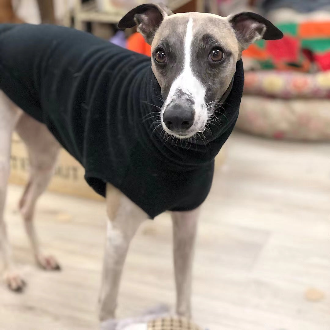 Winter Polar Fleece High Collar Soft Italian Greyhound Whippet Dog Clothing - MAXXLIFE ONLINE STORE